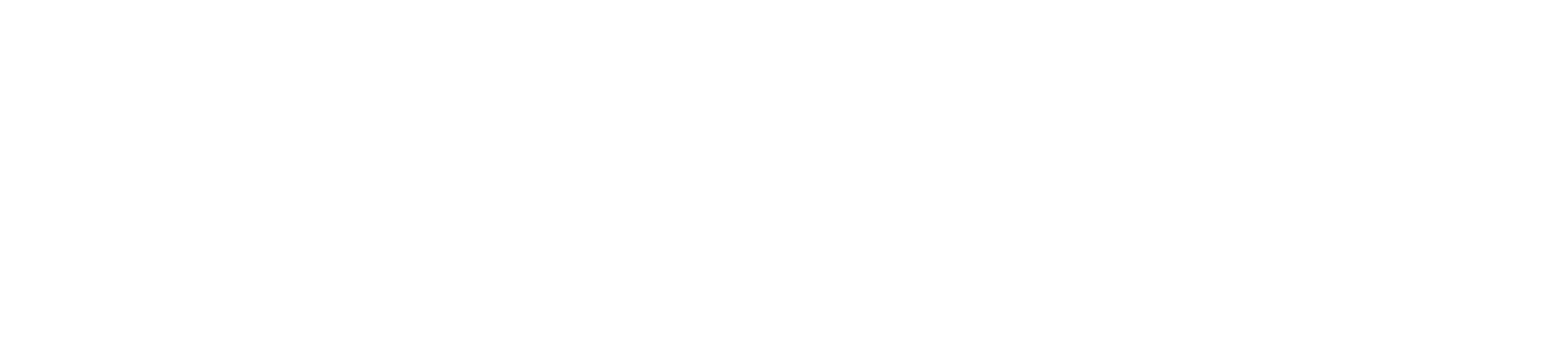 SambaNova