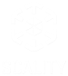 Scality
